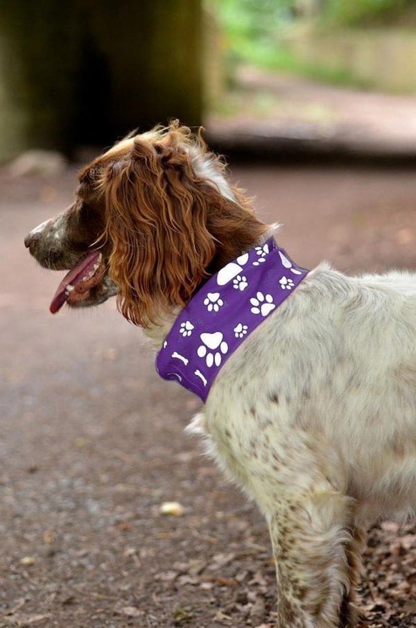 RUFFNEK Reflective Purple Dog Snood Scarf/Bandana