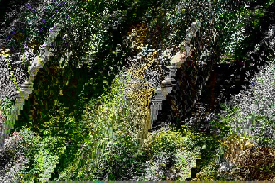 Classical David Bust on Tall Column