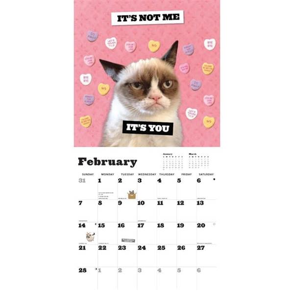 Chronicle Books Grumpy Cat Calendar 2027, Wall Calendars, Month To View, Humour, Gift