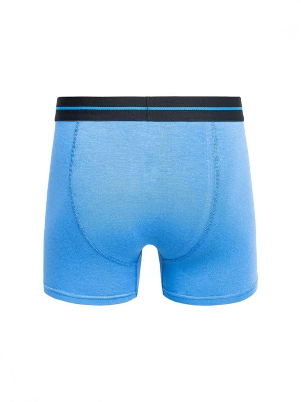 Duck and Cover Edelman Boxers 3pk Blues