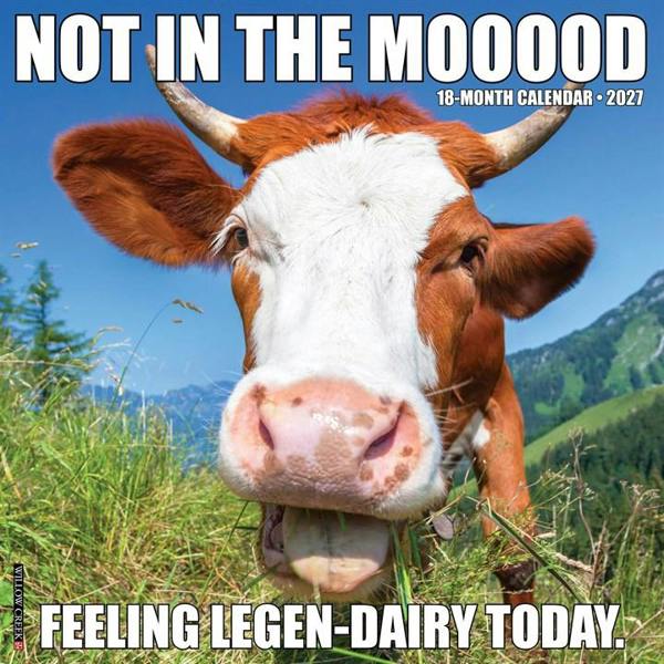 Not In The Mooood Calendar 2027, Wall Calendars, Month To View, Animals, Gift