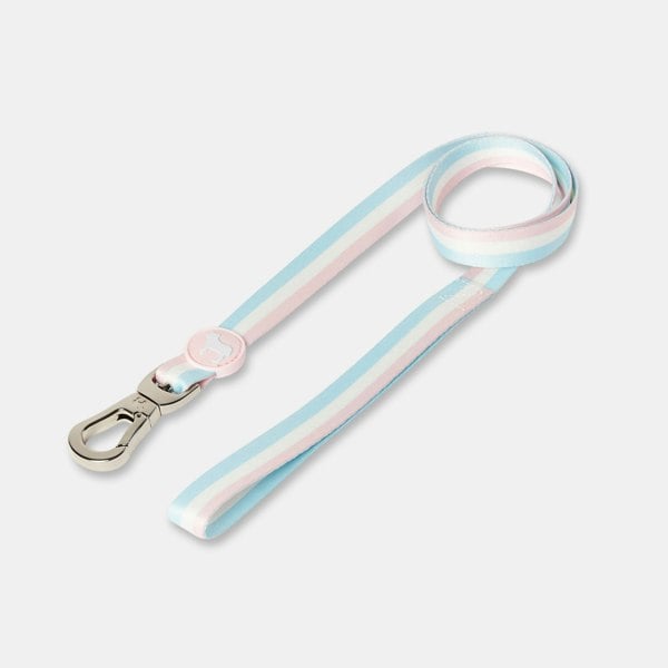 Nylon Dog Lead in a Pink, White & Blue Stripe Pattern.