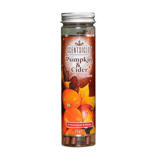 Samuel Alexander 25g Pumpkin and Cider Scented Christmas Scentsicles with 6 Hanging Hooks