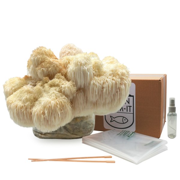 Urban Farm-It Father's Day Bundle - Lion's Mane Kit & Growing Mushrooms at Home Book