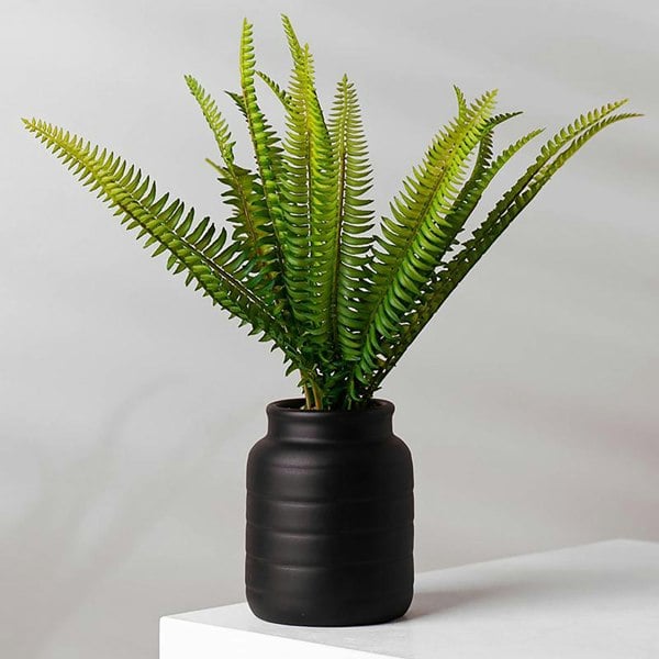 Leaf Black Vase Planter 13 x 13 x 14cm