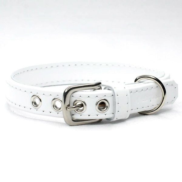 white dog collar - Petiquette Collars