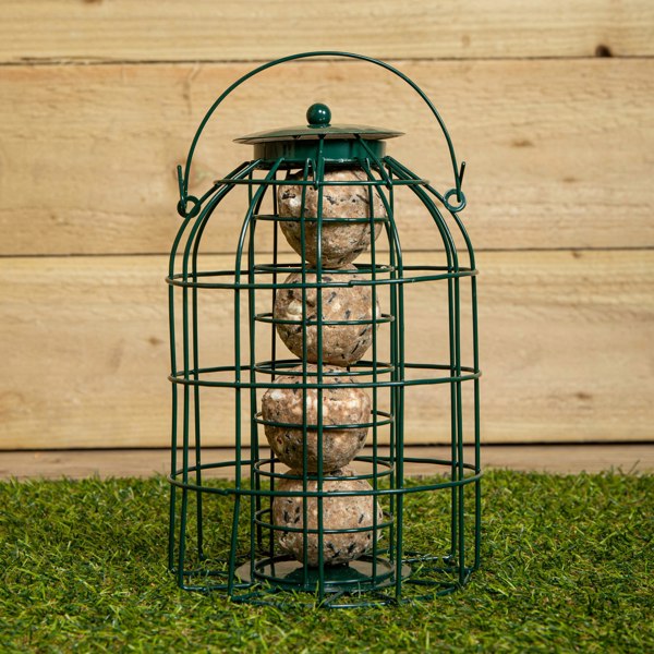 Samuel Alexander Pack of 3 Hanging Nut Seed & Fat Ball Bird Feeders with Squirrel Guard