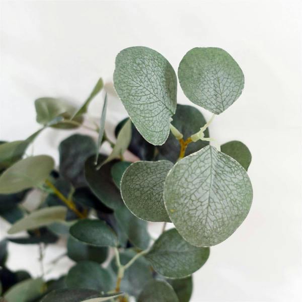 Premium Artificial Eucalyptus Tree Faux Silver Dollar Leaves 150cm - Evergreenery