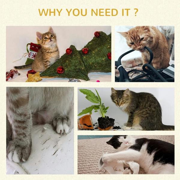 Photo collage of cats playing and resting on pet beds and mats