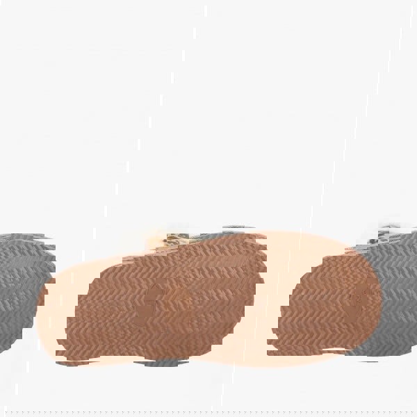 1638867805-78653800.jpg
