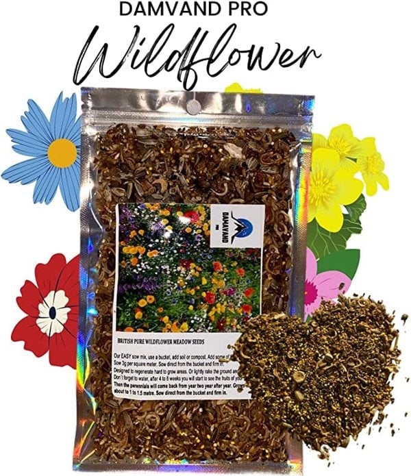 wildflower seed bulk Best perennial wildflower seeds UK