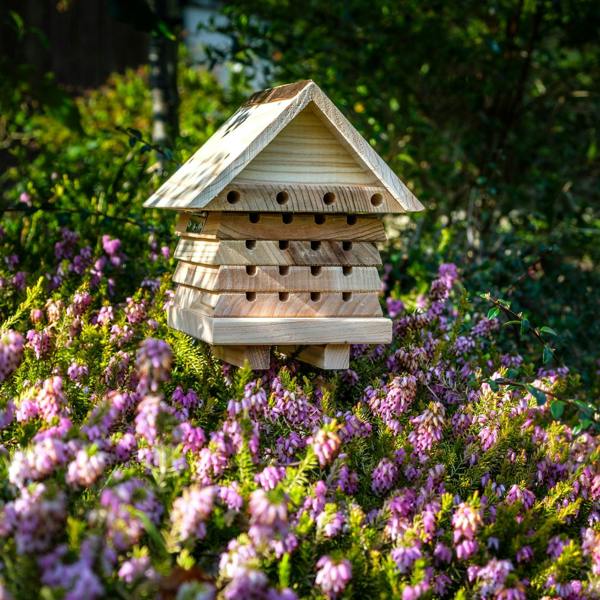 Interactive Solitary Bee Hive with Viewing Lid – Wooden Bee Hotel for Garden Pollinators