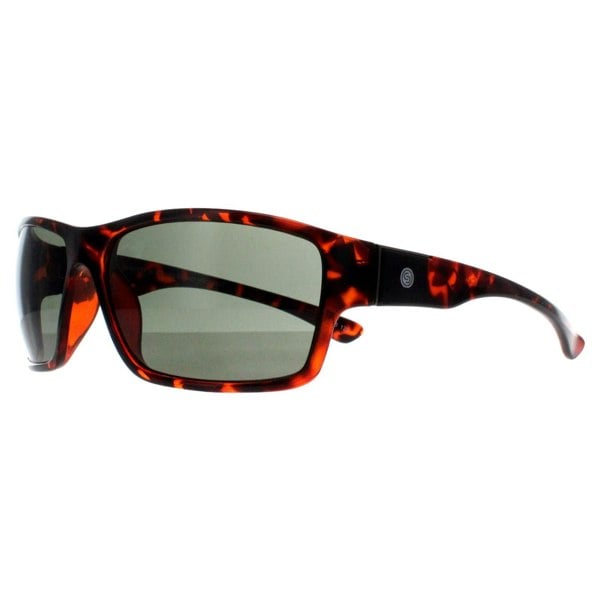 Smarty Sunglasses X2135 B Demi Brown Tortoise Green