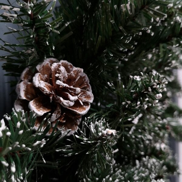 Samuel Alexander Premier Rocky Mountain Snow Tipped Christmas Wreath 50cm