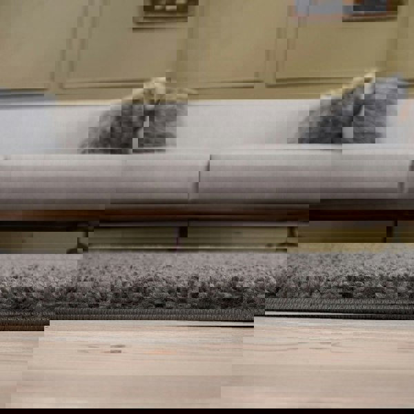 Dark Grey Shaggy Rug High quality Plain Design