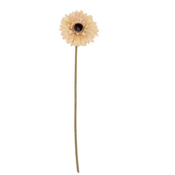 Wyld Haus Set of 3 Artificial Flowers Cream Gerbera Stems