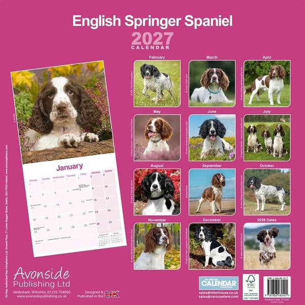 English Springer Spaniel Calendar 2027, Wall Calendars, Month To View, Dogs, Gift