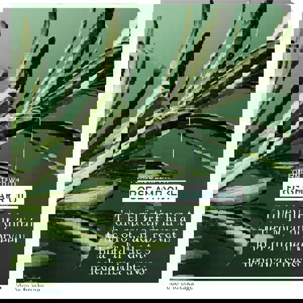 BIOLAGE Full Rescue Aminexil Treatment