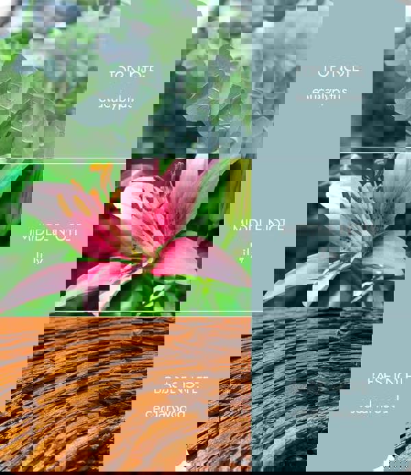 Heart & Home Botanical Breeze - Fragrance Diffuser