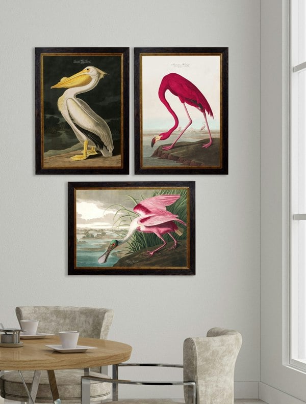 Exceptional Art c.1838 Audubon's Birds of America