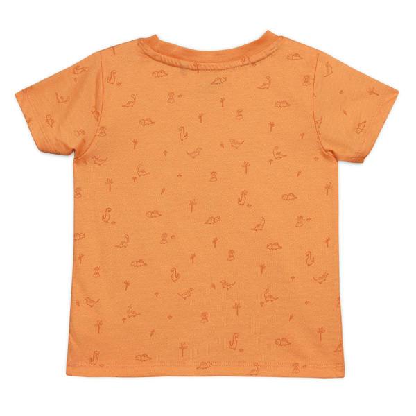 Mini Cuddles Baby Boys 3pk Dinosaur Print T-Shirts, Multicolour