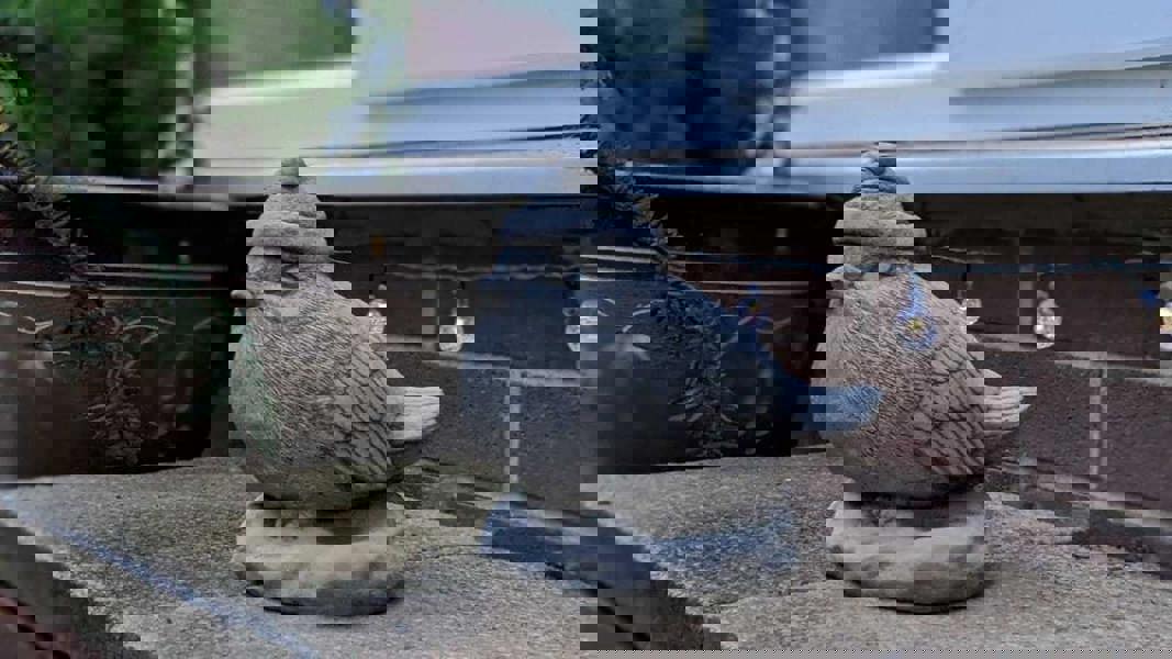 Stone Cast Christmas Robin Garden Ornament