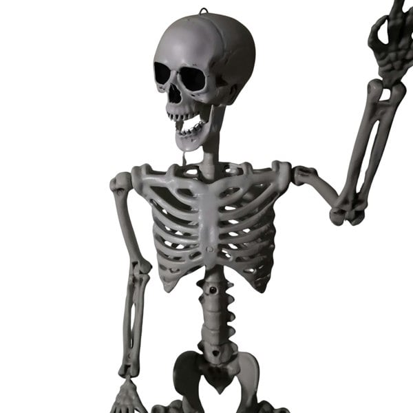 Samuel Alexander Pack of 6 90cm (3ft) Posable Full Body Halloween Skeleton Decoration with Movable Joints