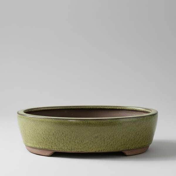 Yorkshire Bonsai 26cm Glazed Bonsai Pot | Oval | 26cm x 22cm x 6cm | Green