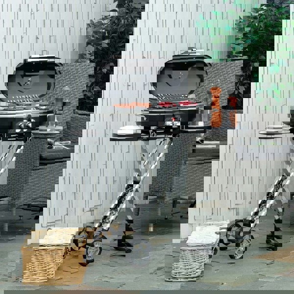 Gas Grill