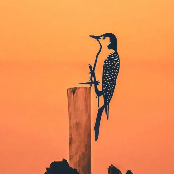 EDH Door Hardware Metal Woodpecker Tree Silhouette – 25cm x 9cm | Rustic Metal Bird Wall Art & Garden Ornament | Weatherproof Hanging Décor