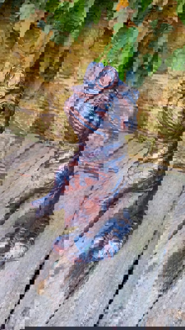 Inspirational Gifting Wind in the Willows Garden Sculptures Ornaments