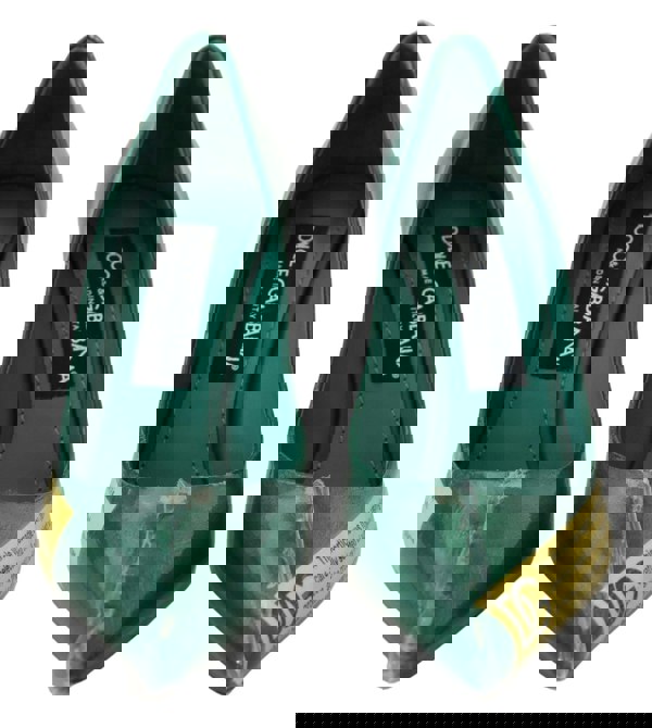 154080570.jpg