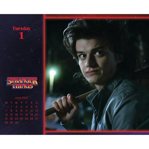 Stranger Things Desk Calendar 2027, Desk Calendars, Day To View, Entertainment, Gift
