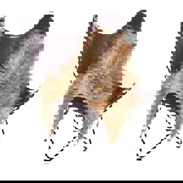 Icelandic Sheepskin | Long Wool | 100-120 cm Natural Grey Caramel