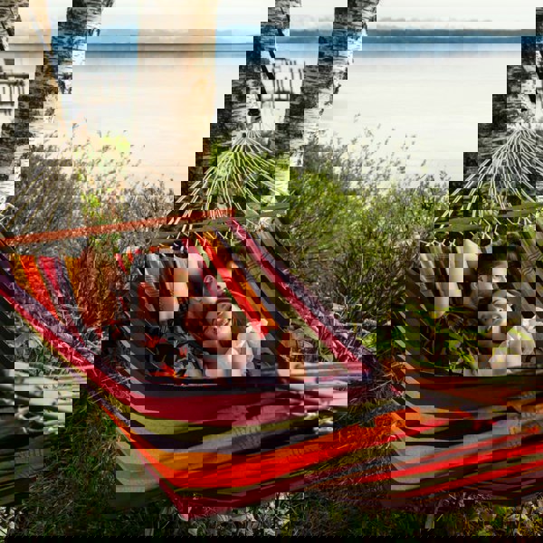 Amazonas Brasilia Tropical Hammock