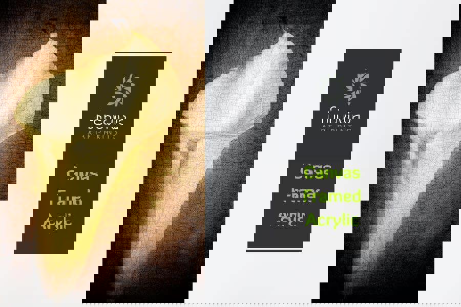 Fernlight Gallery A Life Once Lived