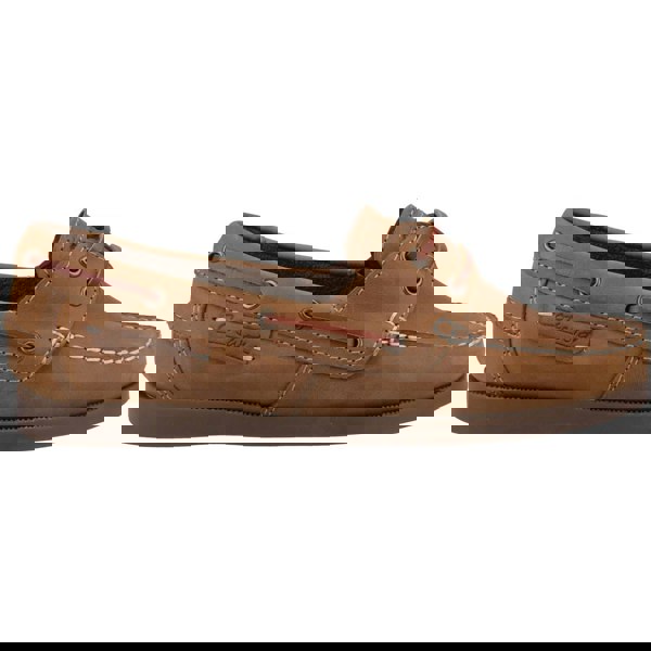 Cotswold Waterlane Women's Shoes in Camel