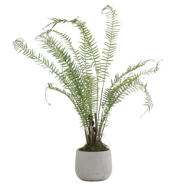 Hill Interiors Boston Fern Artificial Plant - Green/White