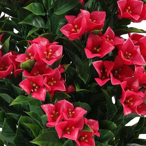 Bougainvillea Tree Fuchsia UV Protected