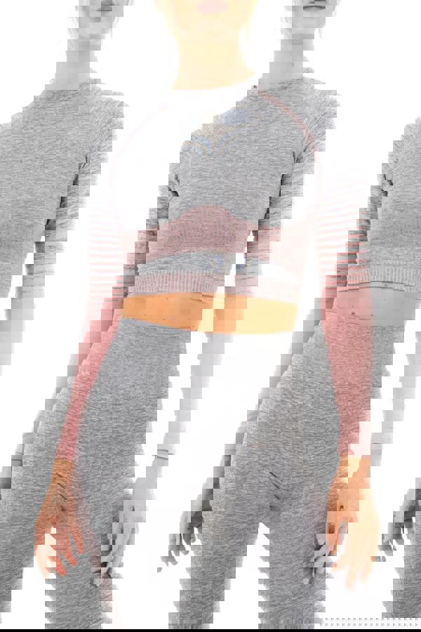 Smart Living Women's Gradient Stripe Seamless Long Sleeve Crop Top - Grey Marl / Pink