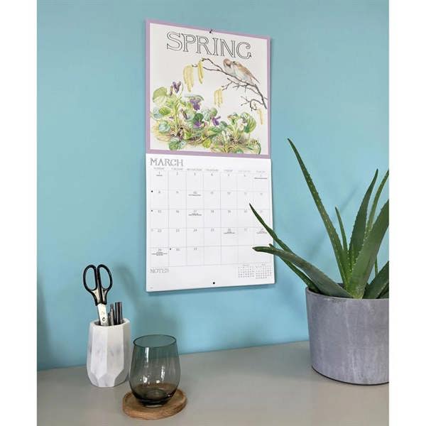 Edith Holden, A Country Diary Calendar 2027, Wall Calendars, Month To View, Art, Gift