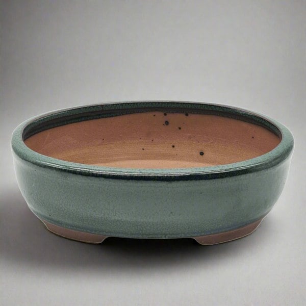 18cm Glazed Bonsai Pot | Oval | 18cm x 15cm x 5cm | Green - Yorkshire Bonsai