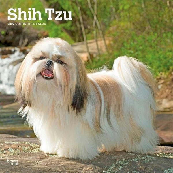 Shih Tzus Calendar 2027, Wall Calendars, Month To View, Dogs, Gift