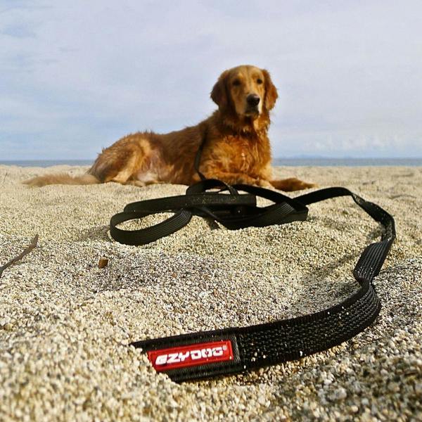 EzyDog Track 'N' Train Long Dog Lead