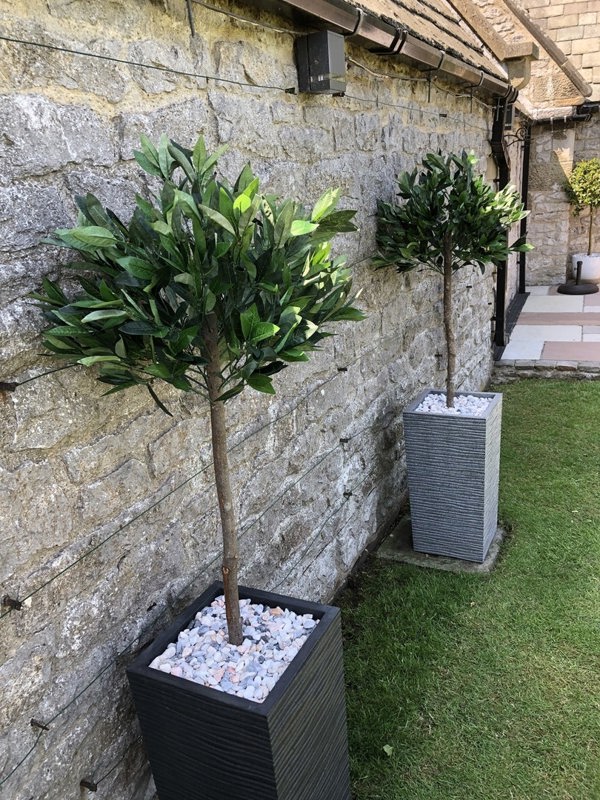 Leaf Pair of 120cm (4ft) Plain Stem Artificial Topiary Bay Laurel Ball Trees