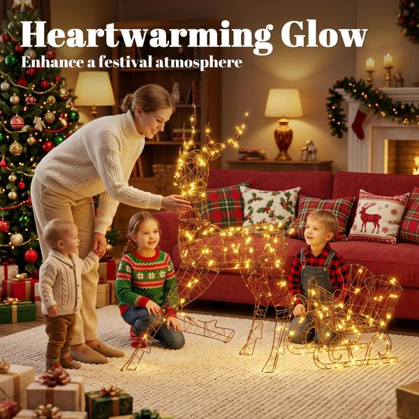 Lighted Christmas Decoration