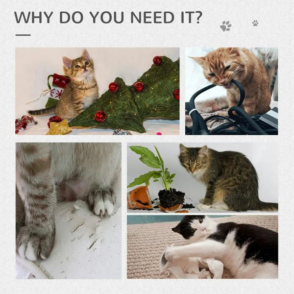 Grey cat tree not shown; promotional collage of cats in different scenes