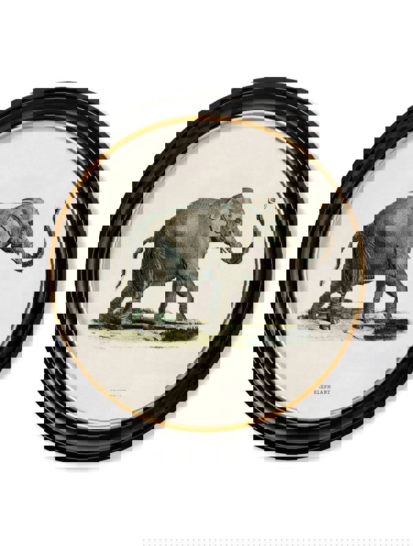 Exceptional Art c.1846 Elephants in Round Frame