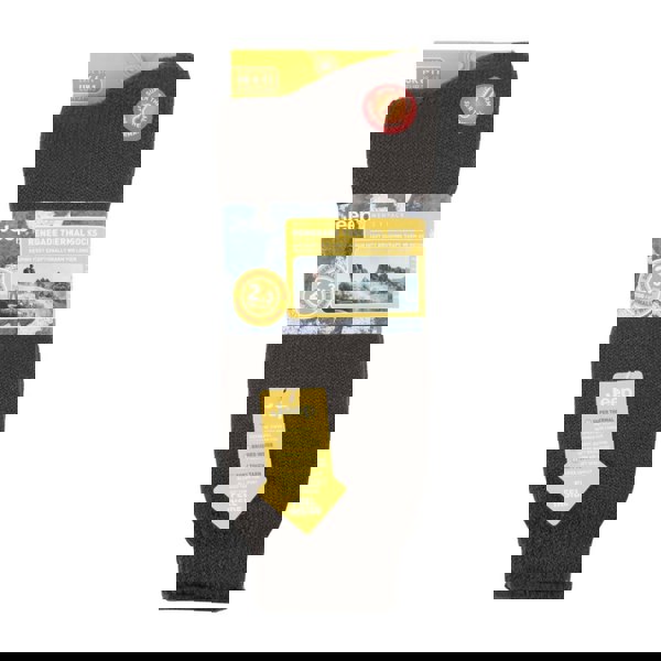 t4option1_2