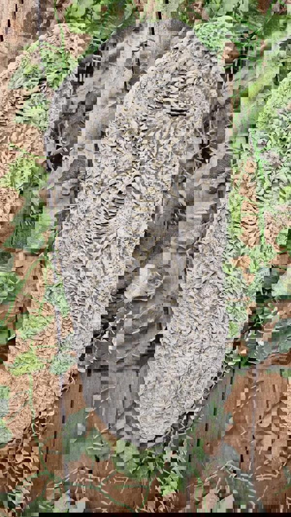 Stone Cast Jurassic Design Wall Plaque